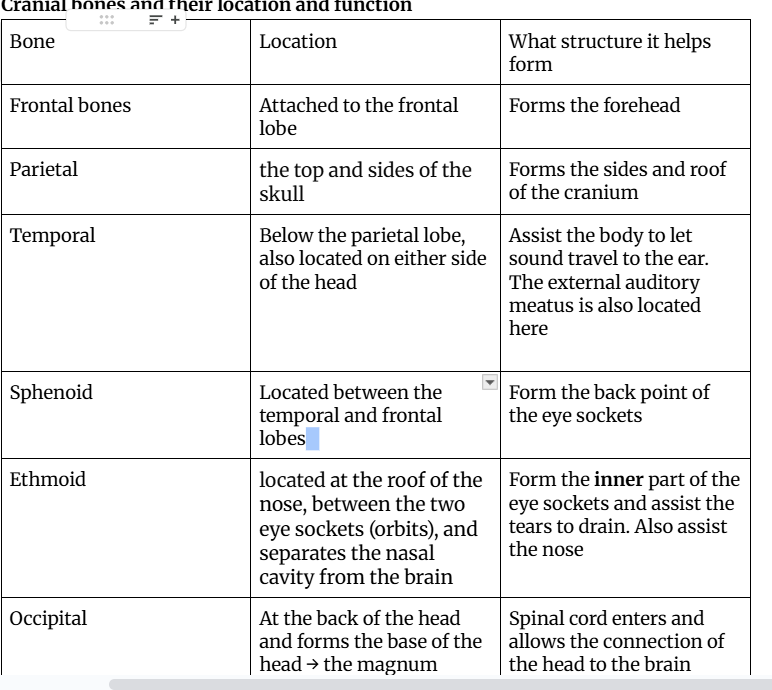 knowt flashcard image