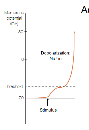 <p>what is this?</p>