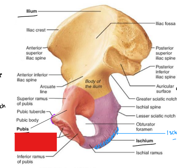 <p>fill in the red box:</p>