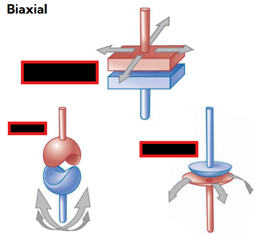 <p>What are the three BIAXIAL classifications of synovial joints? </p>