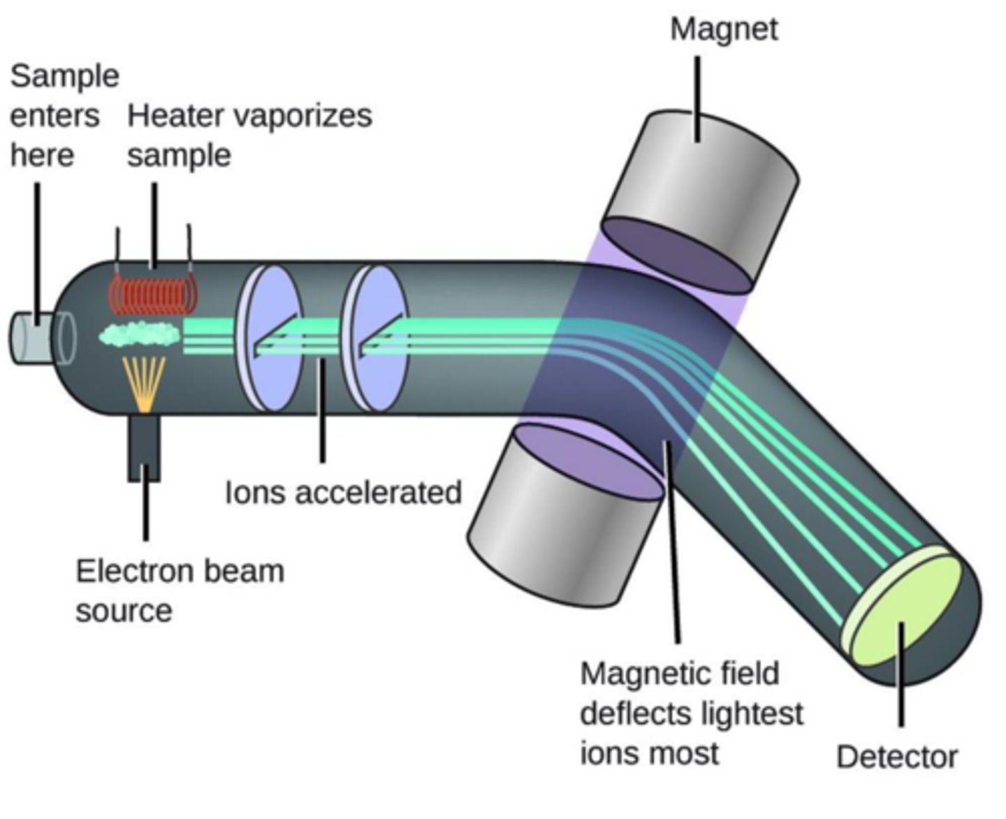 <p>analyzes relative abundance of isoptopes in a sample to determine average atomic mass by using magnetic force</p>