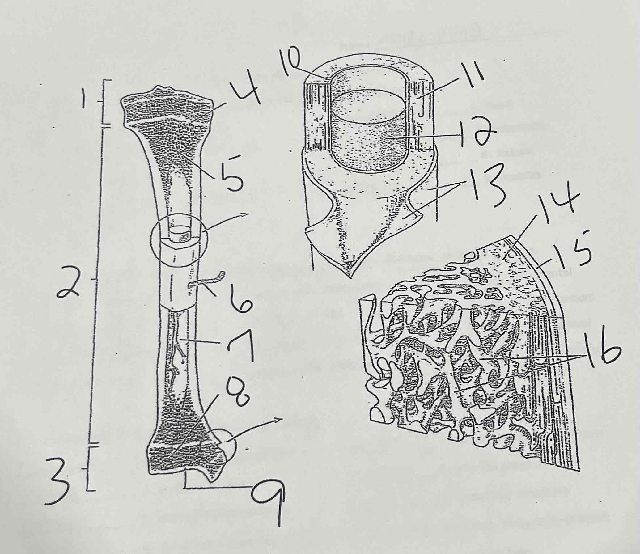 <p>6</p>