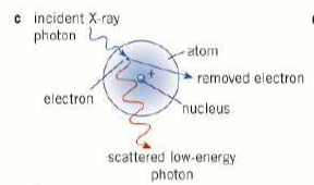 <ul><li><p>photon energy is 0.5-5.0MeV</p></li><li><p>photon interacts with electron inside atom</p></li><li><p>electron is emitted</p></li><li><p>photon is scattered with reduced energy</p></li><li><p>used in hard X-rays to kill cancerous cells?</p></li></ul><p></p>