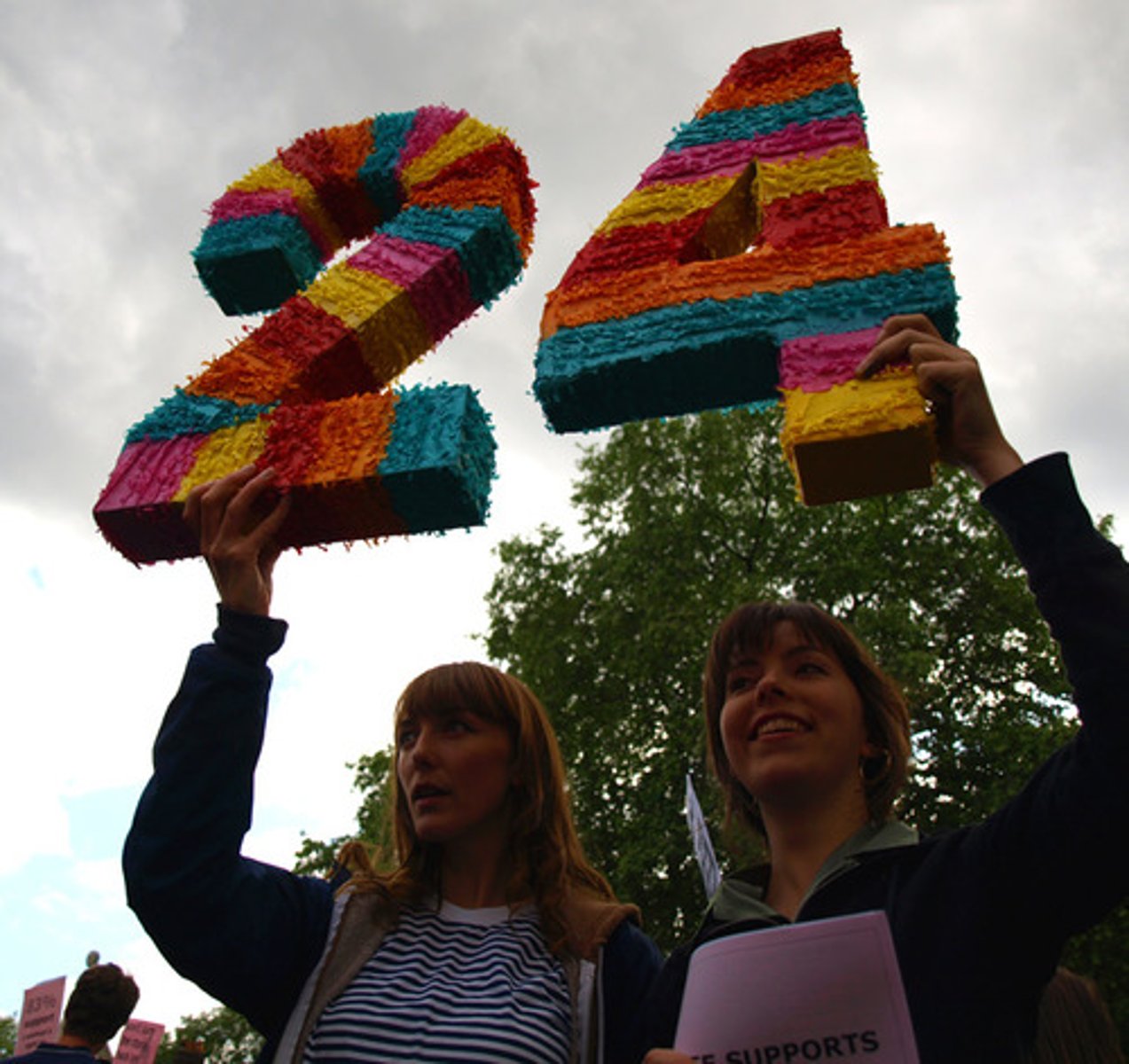 <p>Twenty-four</p>