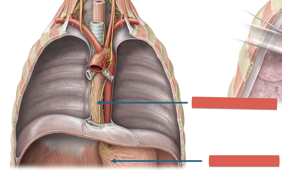 <p>Fill in the blank </p>