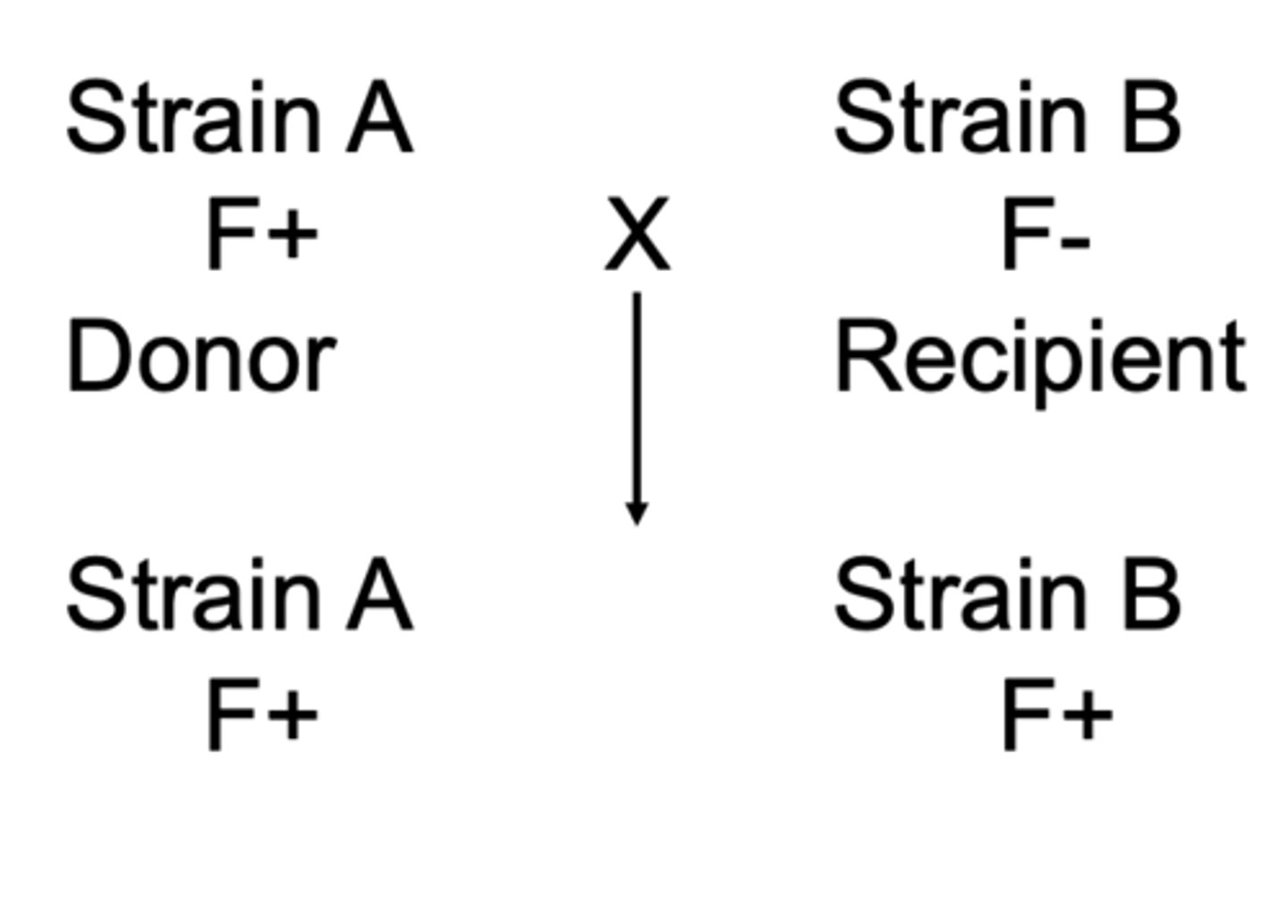 <p>unidirectional</p>
