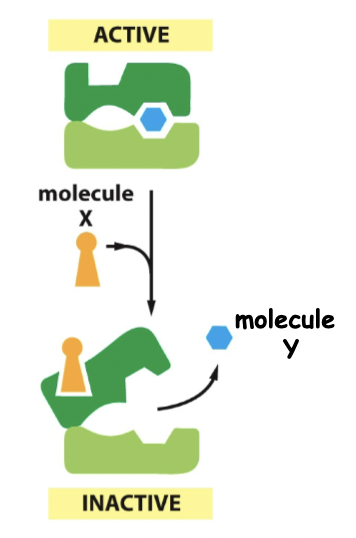 <p>Active → inactive (molecules don’t want the same thing)</p>