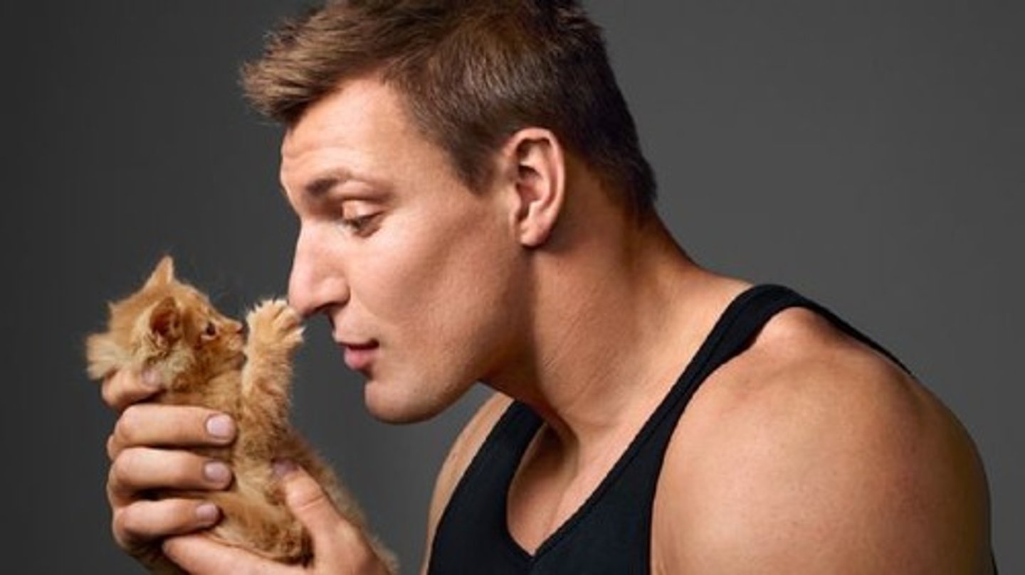 <p>adj. mềm lòng = tender = sentimental</p>