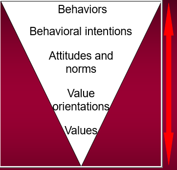 <p>Closer to Behavior: Numerous, Faster to Change, Peripheral, Situational<br>Closer to Values: Fewer, slower to change, central to beliefs, transcendental</p>