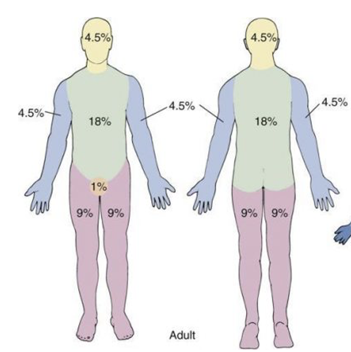 <p>For adults, not as reliable for children </p>