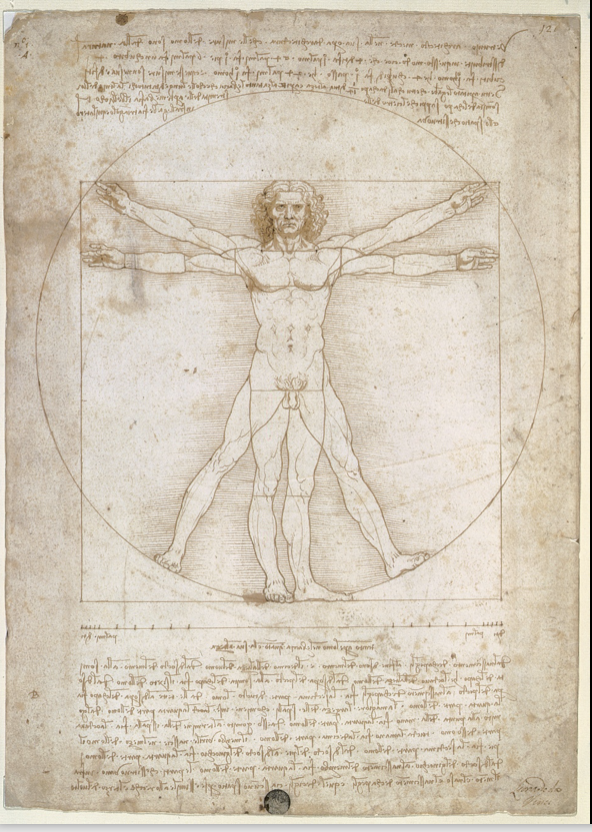 Vitruvian Man