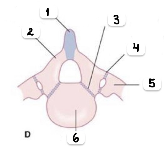 <p>periodo y rótulos</p>