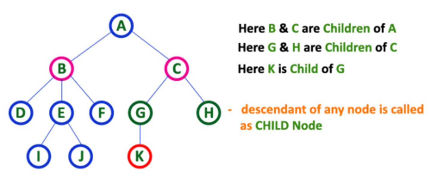 <p>a tree node that has a child node</p>