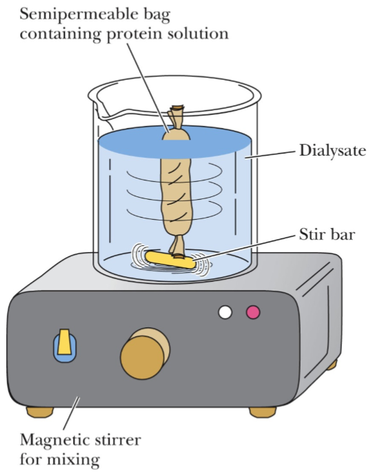 <ul><li><p>can be used to remove small moleules</p></li><li><p>high salt may interfere w/ other experiments/assays</p></li><li><p>pH of buffer may also (de)protonate side chains involved in chem rxns/interactions</p></li><li><p>buffer exchange can be done to change pH of buffer as well</p></li></ul>