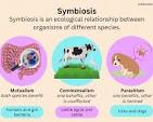 <p>It is a close, long-term relationship between two different organizations/species. There are three main types of mutualism where both species benefit, commensalism species the other is unaffected, and parasitism, one species is harmed, other benefits.</p>
