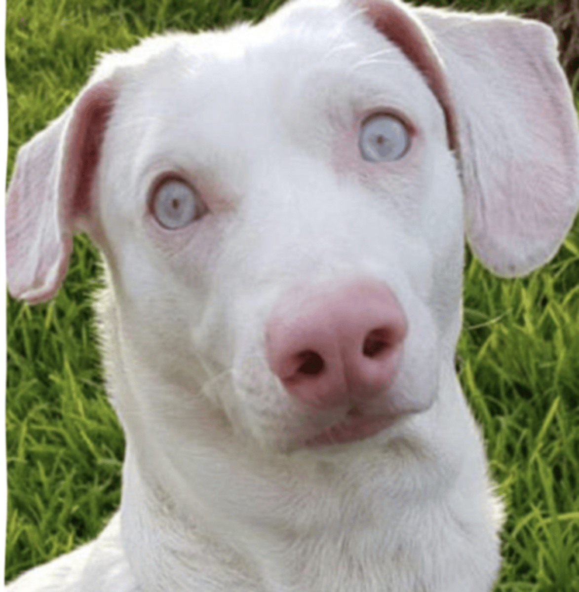 <p>what is this called?</p>