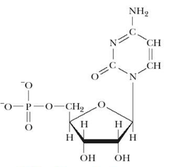 <p>Name that structure.</p>