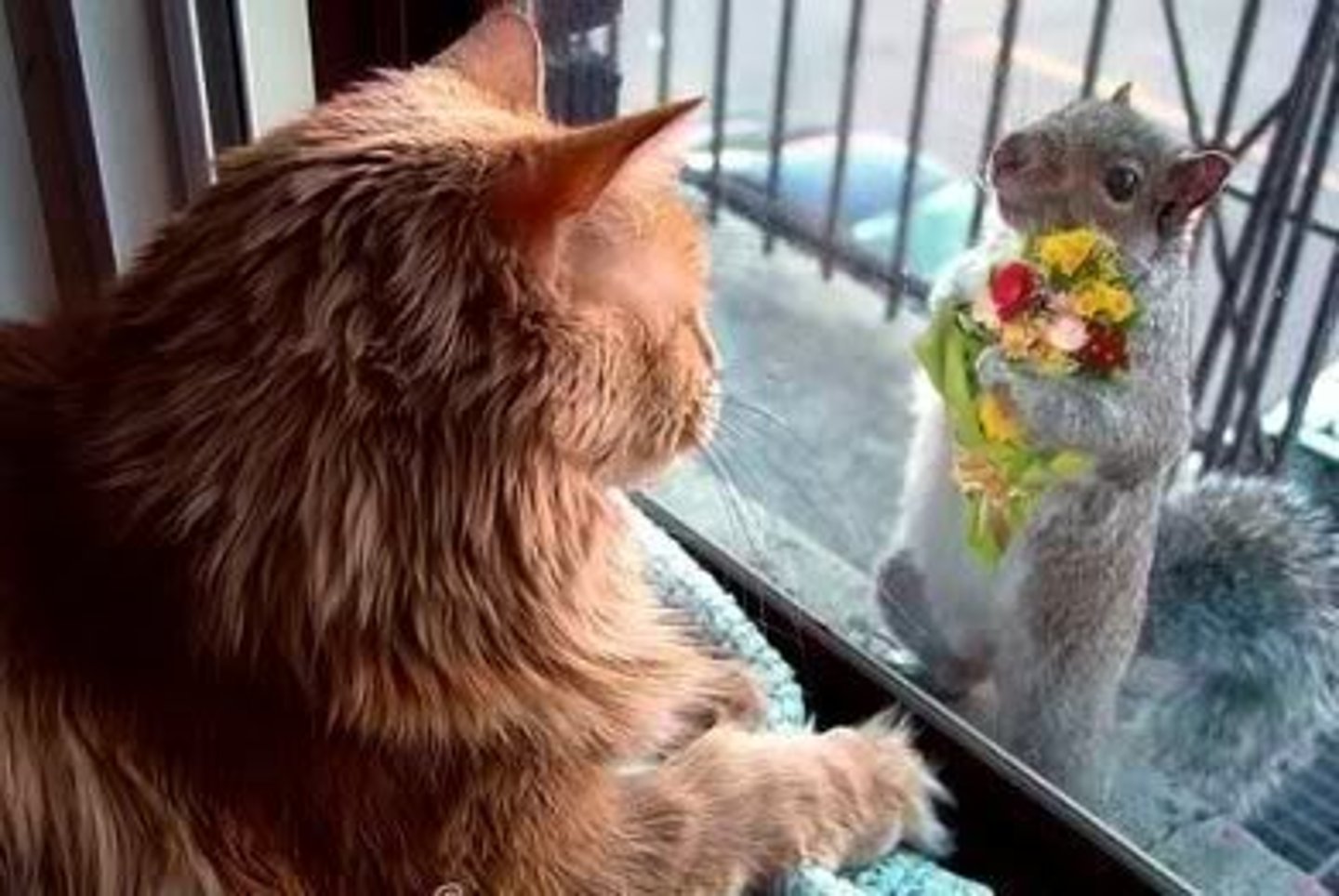 <p>(v.) To make amends, make up for; to avert.</p>