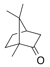 <ul><li><p>bicyclic compound that has a carbonyl group</p></li></ul><p></p>