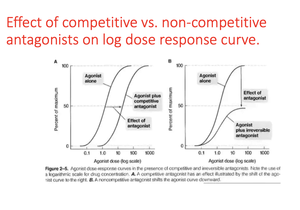 <p>Antagonism where the antagonist blocks the action of an agonist by occupying the same receptor site.</p><ul><li><p>Competitive (equilibrium/reversible) antagonism</p><ul><li><p>Reversible due to weak Hydrogen bonds</p></li><li><p>competes w/ agonist for same receptor</p></li></ul></li><li><p>Noncompetitive (nonequilibrium/irreversible) antagonism</p><ul><li><p>Some bind to receptor w strong covalent bonds</p></li><li><p>Agonist unable to reduce their receptor occupancy even at high dose = irreversible</p></li><li><p>Log dose response curve shortens in height = diminished receptor activation, intrinsic activity and efficacy of the agonist</p></li></ul></li></ul><p></p>