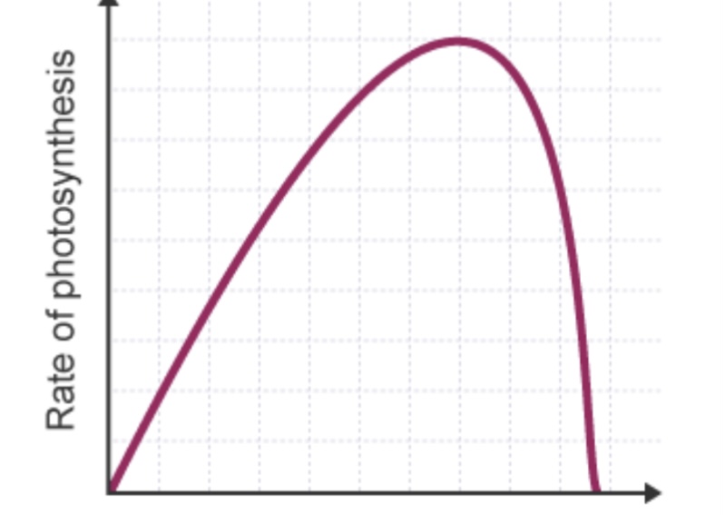 <p>Which limiting factor of photosynthesis is shown by the graph?</p>
