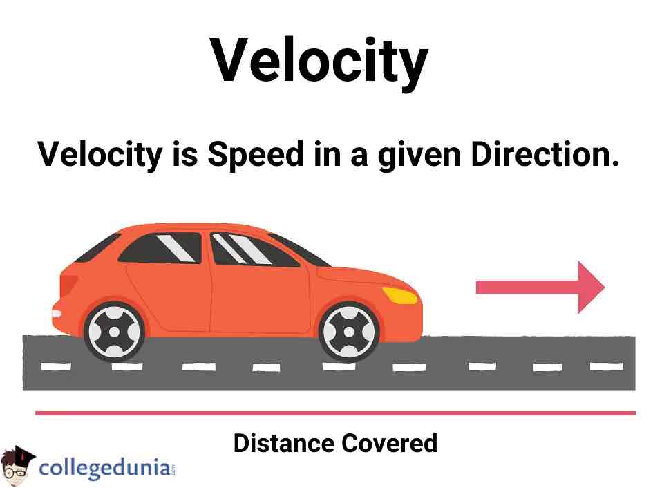 <p>The magnitude of how fast an object is moving and the direction in which it’s moving.</p>