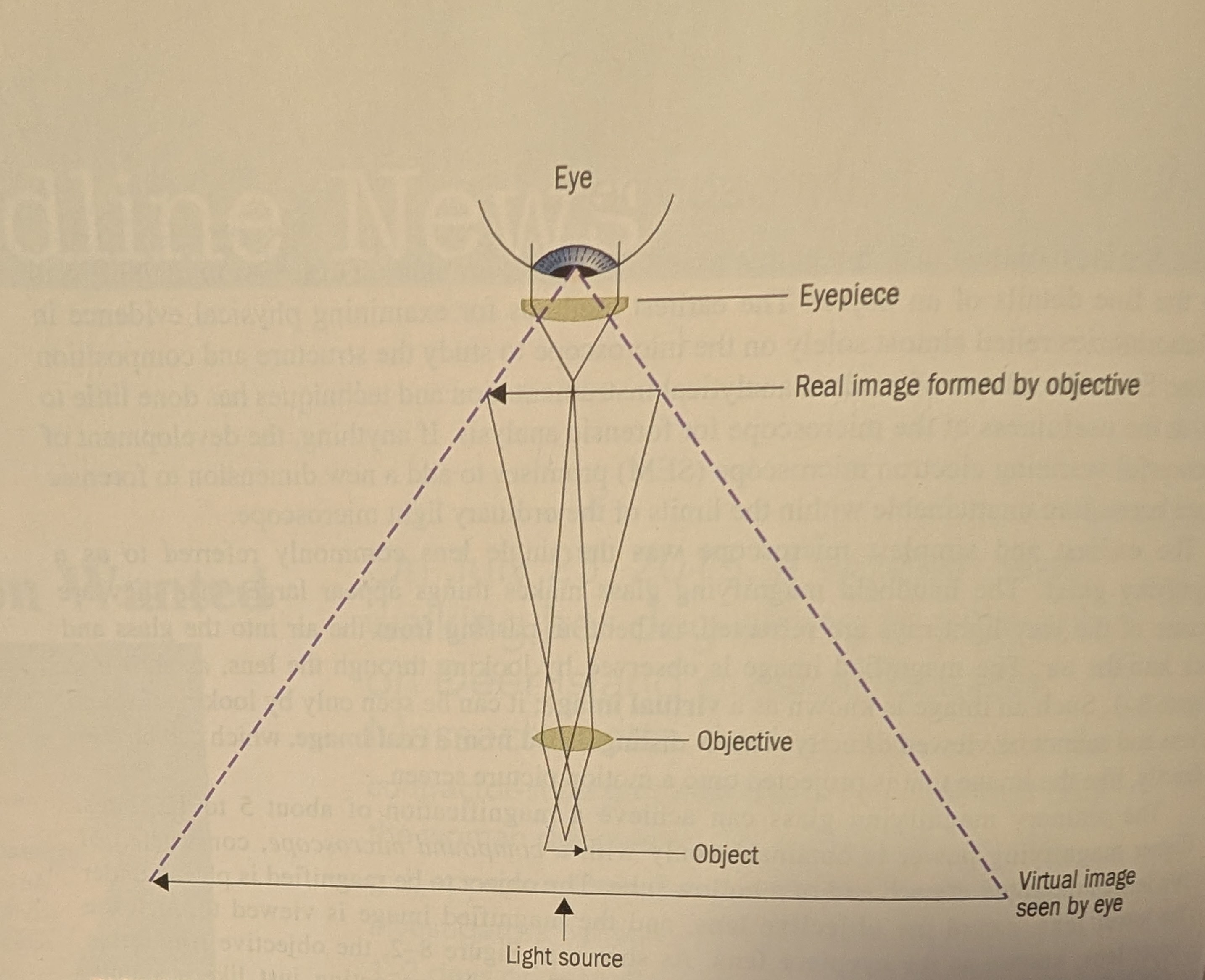 <ul><li><p><span>The passage of light through two lenses forms the virtual image of the object seen by the eye.</span></p></li></ul><p></p>