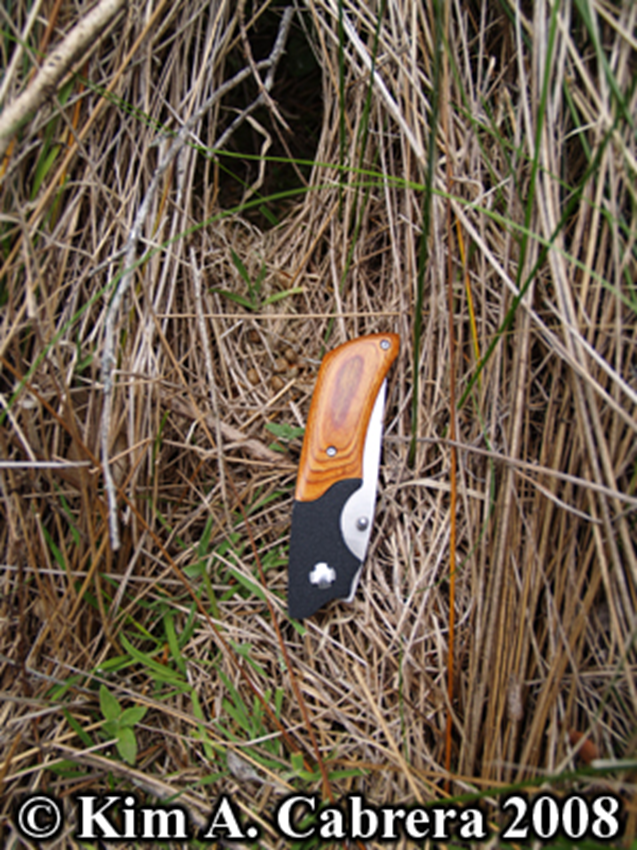 <p><span>for small animals to escape and travel while hidden</span></p>