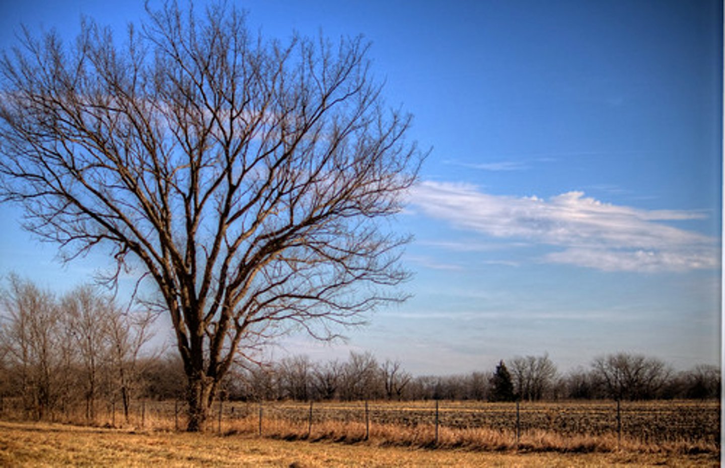 <p>(adj.) meager, scant; scattered</p>