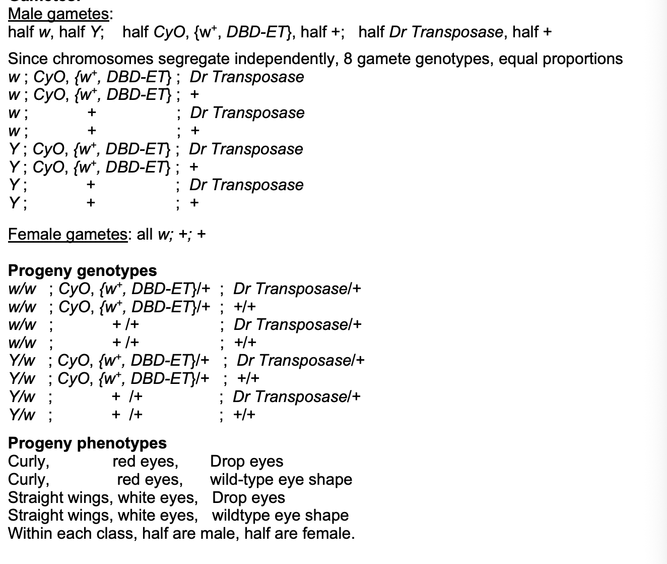 <p><em>Just mix all the ways to combine together with punnet square</em></p><p></p><p></p>
