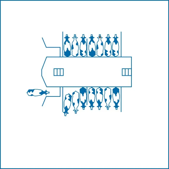 What kind of milking parlor is this?
