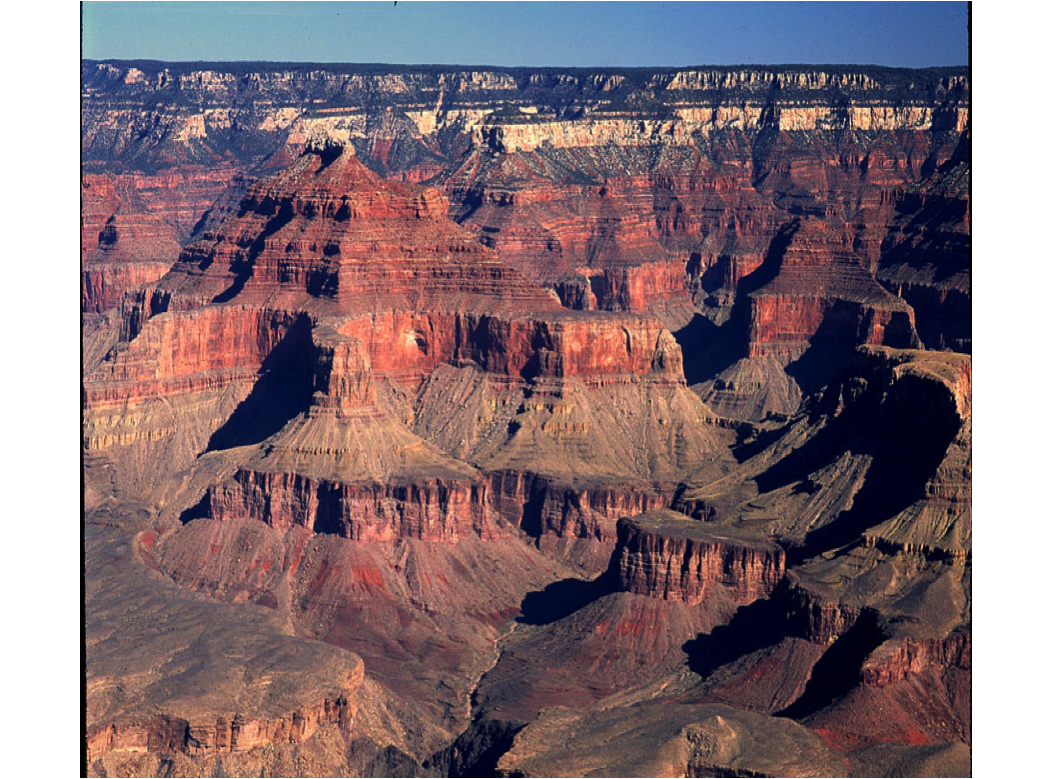 This photo of the Grand Canyon is a good illustration of :

a.       faulting

b.       folding

c.       stairstep /layer-cake Geology

d.       None of the above 