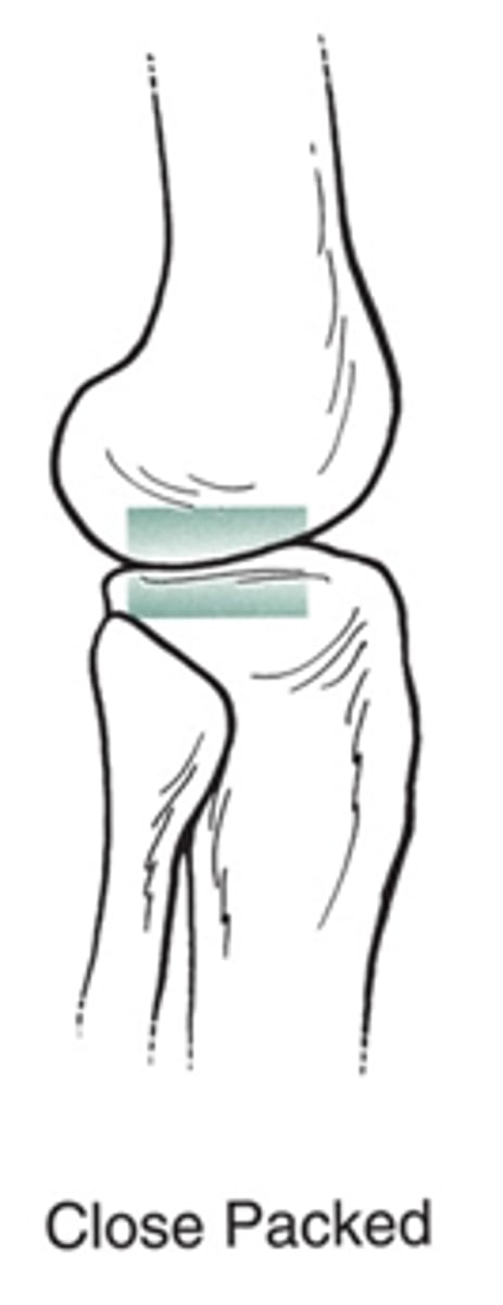 <p>maximal contact between articulating structures = ↓ ROM</p>
