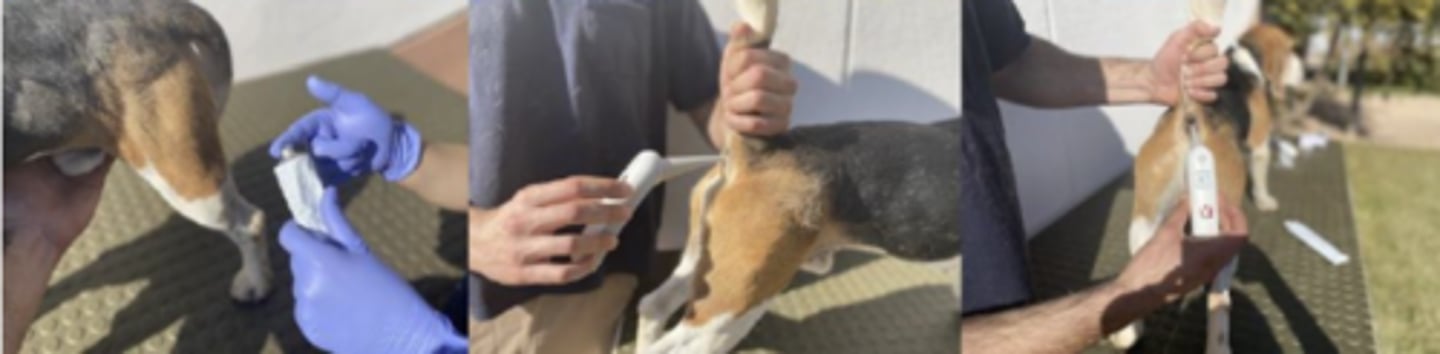 <p>what is happening here ?</p>