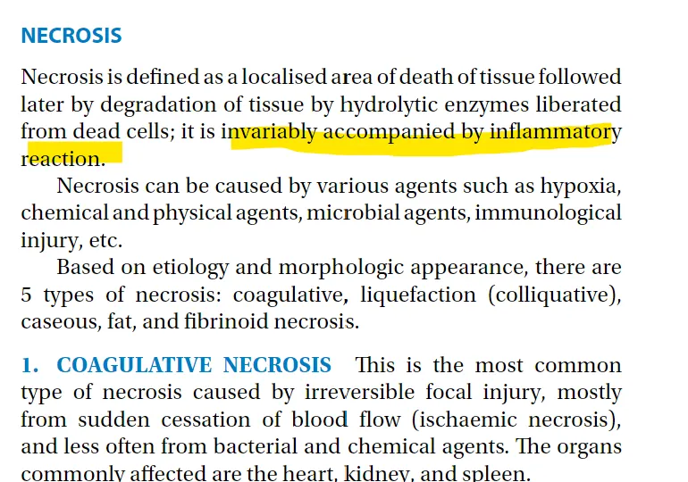 <p><strong><span>Indicate the correct statement(s) for necrosis.</span></strong> (2)</p><p>a) It is a programmed cell death, </p><p><strong>b) It is provoked cell death, </strong></p><p>c) It affects single cells and the extracellular matrix is not involved in the process, </p><p><strong>d) there is a demarcation inflammation at the periphery of the affected area</strong></p>