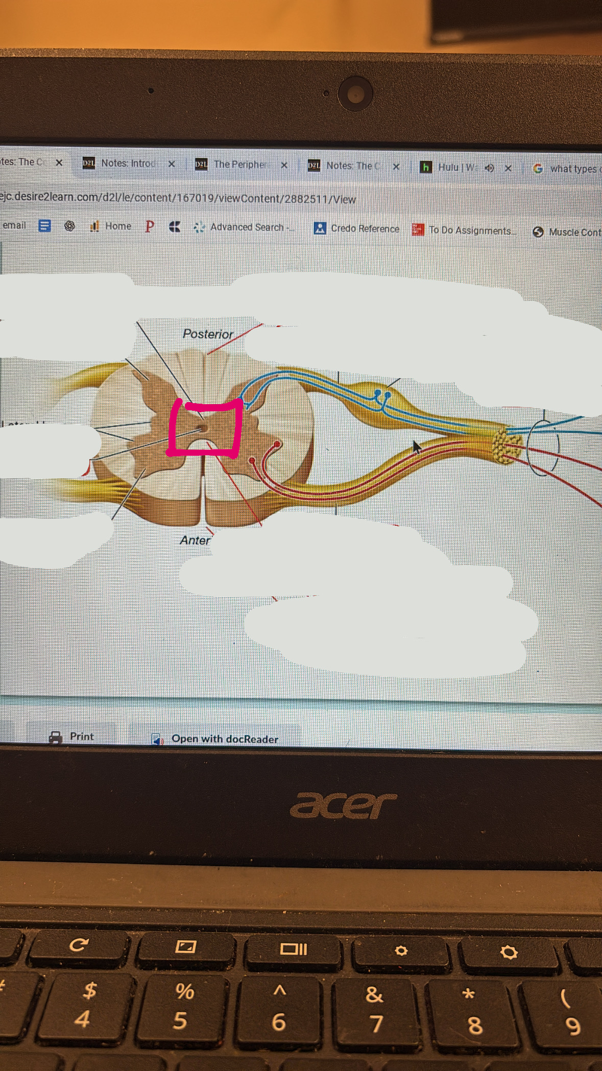 knowt flashcard image