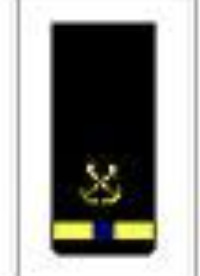 <p>One gold 1/2-inch stripe with one blue break below a specialty insignia</p>