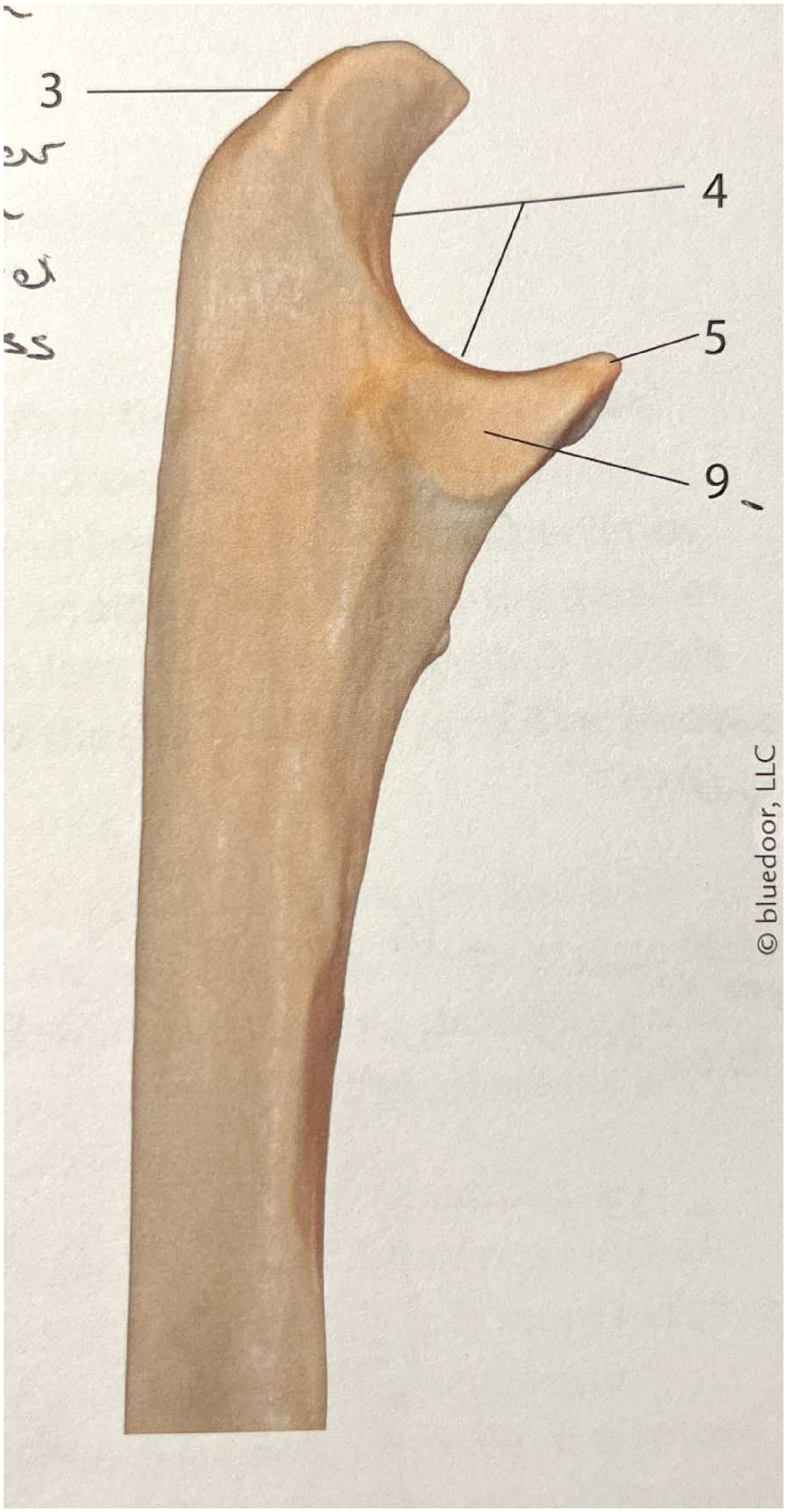 <p>#9</p>