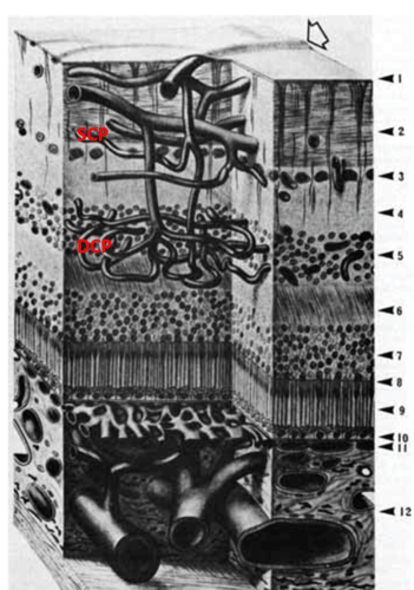 <p>#1</p>