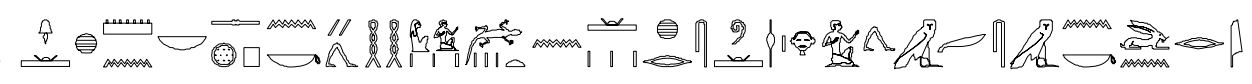 term image