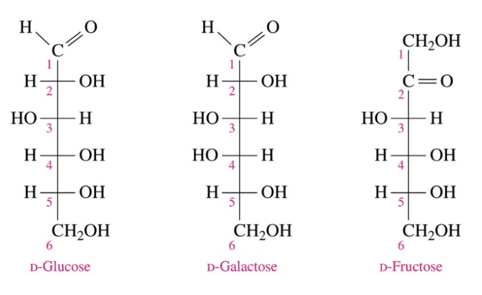 \-D-glucose: blood sugar) aldohexose

\-D-galactose (found in milk) aldohexose

\-D-Fructose (fruit sugar) ketohexose