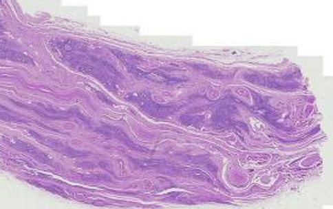 <p>What is this?</p>