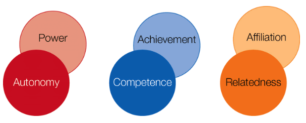 <p>Differences in self-determination theory and Murray’s three primary implicit motives</p>