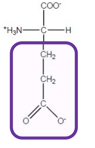 <p>His-H-imidazole group so polar,basic and positively charged. Fscilitates enzyme catalysed reactions by acting as a proton donor/acceptor due to pKa near physiological pH</p>