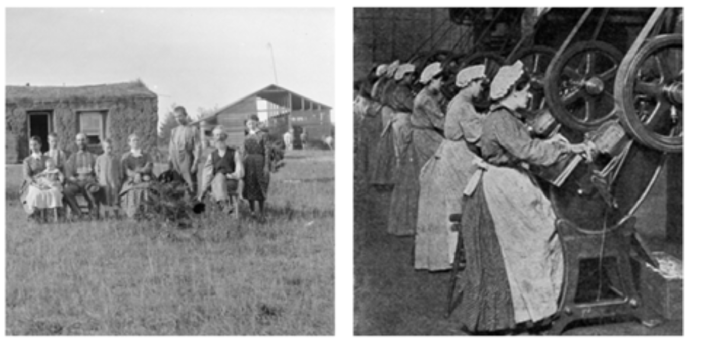 <p>D The mechanization of farm work allowed many young people to migrate and join a growing urban industrial workforce</p>