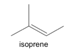 <p>Monomer of a terpene</p>