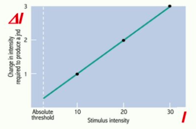 De intensiteit die nodig is om net een stimulus te kunnen waarnemen. Dit kan je berekenen met de wet van Weber: ΔI = k \* I

* ΔI = net waarneembaar verschil
* k = Weber fractie
* I = intensiteit referentie stimulus