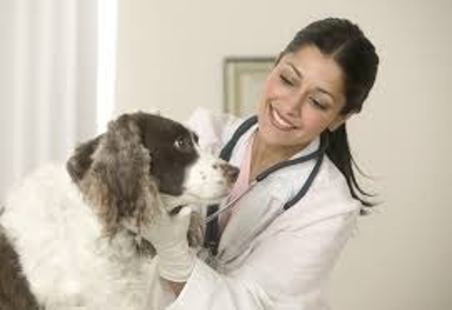 <p>veterinarian</p>