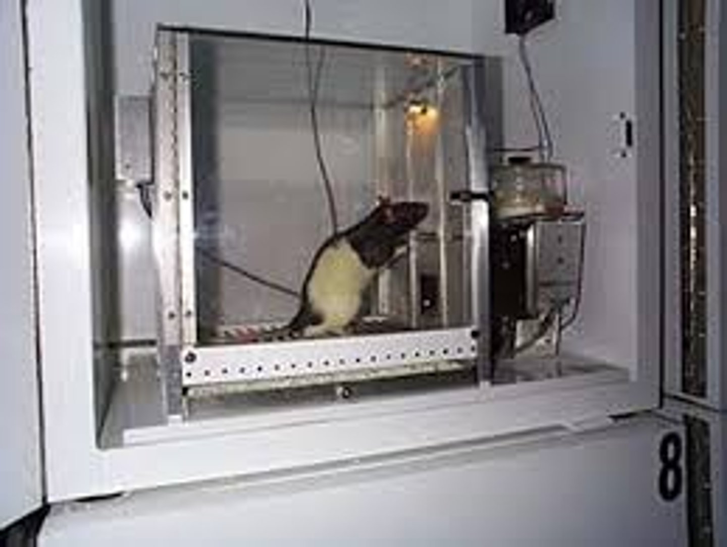 <p>in operant conditioning research, a chamber (also known as a Skinner box) containing a bar or key that an animal can manipulate to obtain a food or water reinforcer; attached devices record the animal's rate of bar pressing or key pecking.</p>
