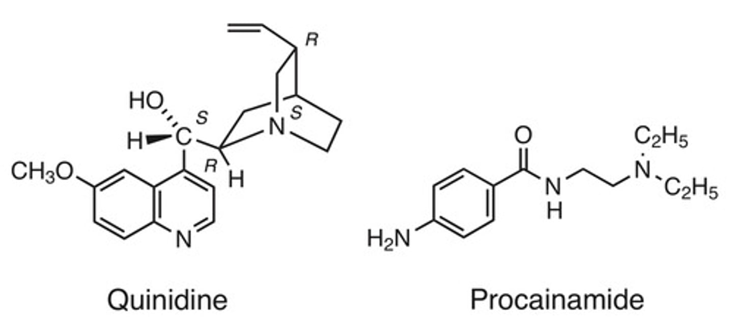<p>Quinidine/Procainamide</p>
